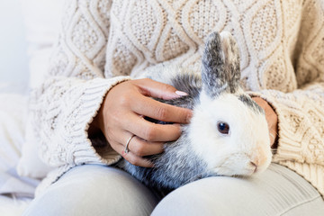 Portrait of a beautiful young womman petting a rabbit