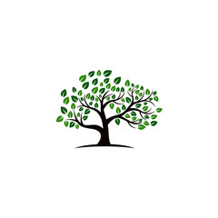 Obraz premium Tree vector icon. logo design elements.