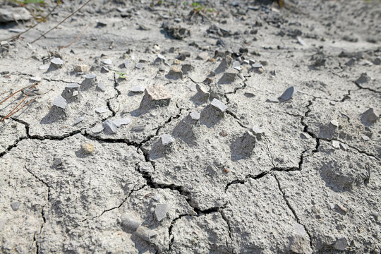 Donnerkeile (versteinerte Belemniten) &uuml;berdecken den Boden - Belemnoids 