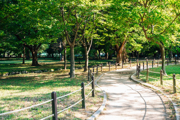 Green forest road at Gyeongju Gyerim in Korea