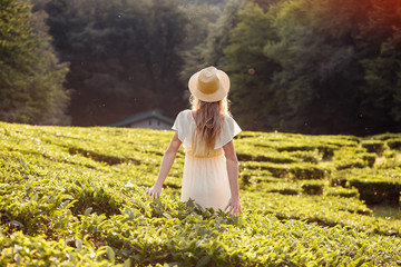 Rear view of a young girl In a bright peasant dress and hat enjoying green bushes and nature and...
