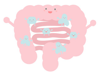 ビフィズス菌のいる大腸