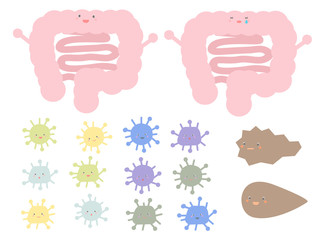 かわいい大腸と腸内環境セット