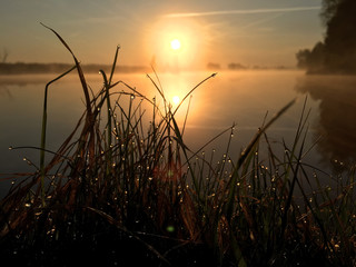 green grass with dew drops near lake on sunrise. Nature fresh outdoor background