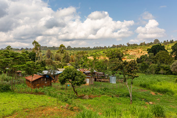 Naklejka premium Kangaita village 2