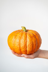 Pumpkin in female hands on a white background. autumn concept