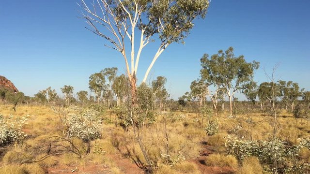 Bungle Bungle Range Landform landscape in Kimberly Western Australia.