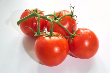 tomatoes isolated on white background