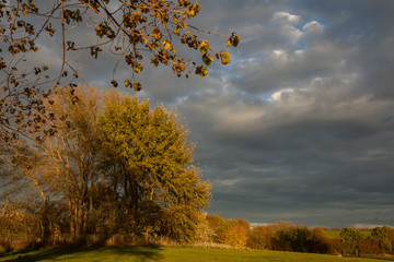 rural landscape in scenic fall colors