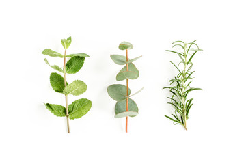 Mix of herbs, green branches, leaves mint, eucalyptus, rosemary and plants collection on white background. Set of medicinal herbs. Flat lay. Top view.