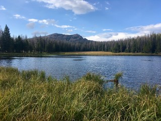 Sunny day in the Lily Lake, Uinta Mountains, Utah, United States