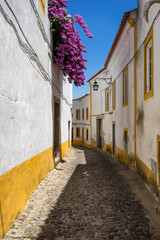 Fototapeta na wymiar Ruelle d'un village blanc au Portugal