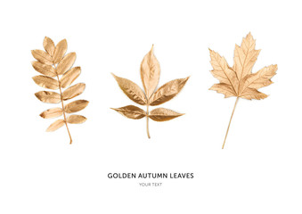 Autumn golden leaves isolated on white background. Flat lay, top view, copy space