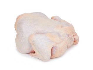 Raw fresh chicken