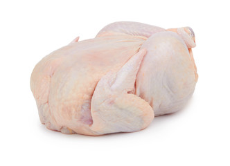 Raw fresh chicken