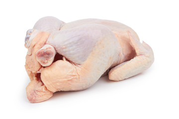 Raw fresh chicken