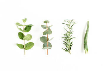 Mix of herbs, green branches, leaves mint, eucalyptus, rosemary, aloe Vera and plants collection on white background. Set of medicinal herbs. Flat lay. Top view.