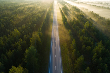 Aerial view above misty road and forest. Morning time. Beautiful soft sunlight. 