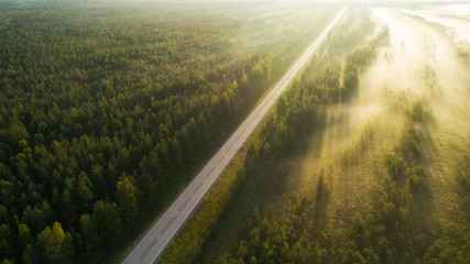 Aerial view above misty road and forest. Morning time. Beautiful soft sunlight. 
