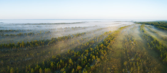 Aerial landscape panorama.  Sunrise with mist at the treetops in the rural countryside looking moody dramatic beautiful meditative relaxing tranquil peaceful 