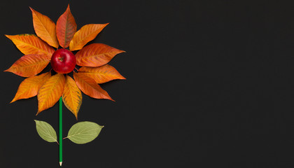 Odd job flover of fallen autumn leaves and red apple on black