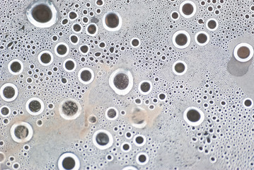 Wetness macro from under the plastic material. Selective Focus.