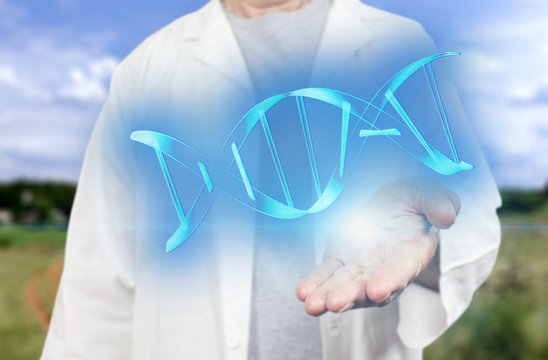 Old white scientist holding dna molecule on a blurred sunny field background (outdoor) 3d rendering. Genetic engineering and gene manipulation concept. Innovative technologies in science and medicine