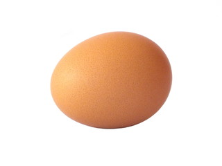 egg isolated on white background