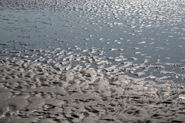 Light reflecting off wet sand