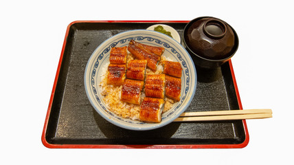 Japanese food bowl of eel rice, Undagi don, isolate