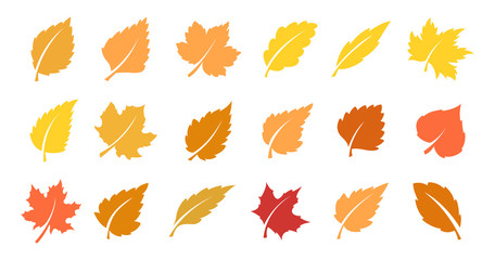 Fototapeta na wymiar Autumn leaf set