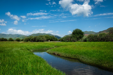 Fototapeta na wymiar Sangke grassland and wetlands at Xiahe. Pristine natural landscape in Gansu, China. 
