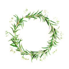 Round wreath frame made of mix of herbs, green branches, leaves rosemary and thyme. Set of medicinal herbs. Flat lay. Top view.