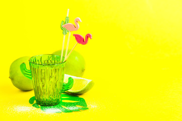 tequila in cactus glass with limes