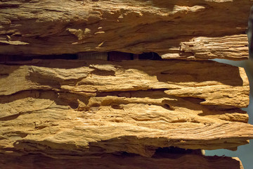 Brown Wood texture