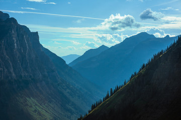 Silhouette of trees in the mountains