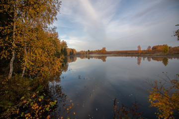 Morning on the river early morning reeds mist fog and water surface on the river