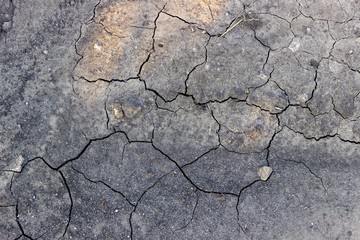 the sun's rays fall a little shrinkage cracks on dry land