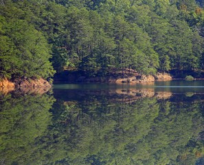 Fototapeta premium lake in forest