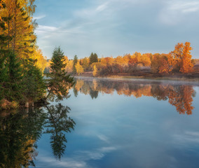 Fototapeta premium Morning on the river early morning reeds mist fog and water surface on the river
