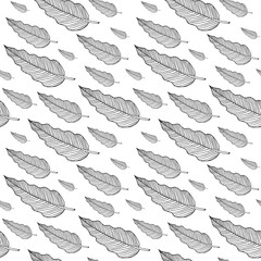 Seamless pattern with philodendron leaf or feather. Doodle sketch. Black outlines on white background. Trendy texture for digital paper, fabric, decorative backdrops, christmas wrapping. Vector