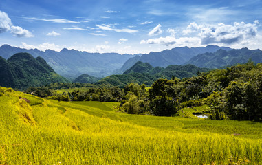 Terraced green and yellow rice fields of Pu Luong, close to Mai Chau in Thanh Hoa province. Transition stage to harvest season in Pu Luong. 