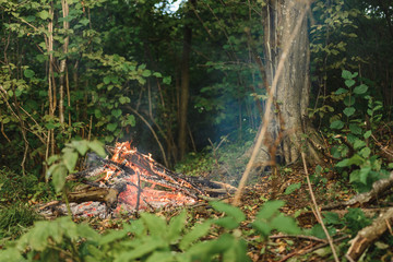 Setting a fire in a forest for picnic, texture and background. 2019