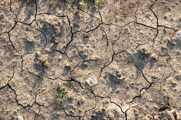 the sun's rays fall a little shrinkage cracks on dry land