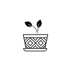 Home plant in flowerpot vector icon