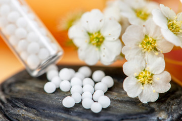 Fototapeta na wymiar Alternativmedizin und Naturmedizin mit homöopathischen Pillen