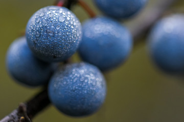 Allphotokz Turn 20190901 8625 D810