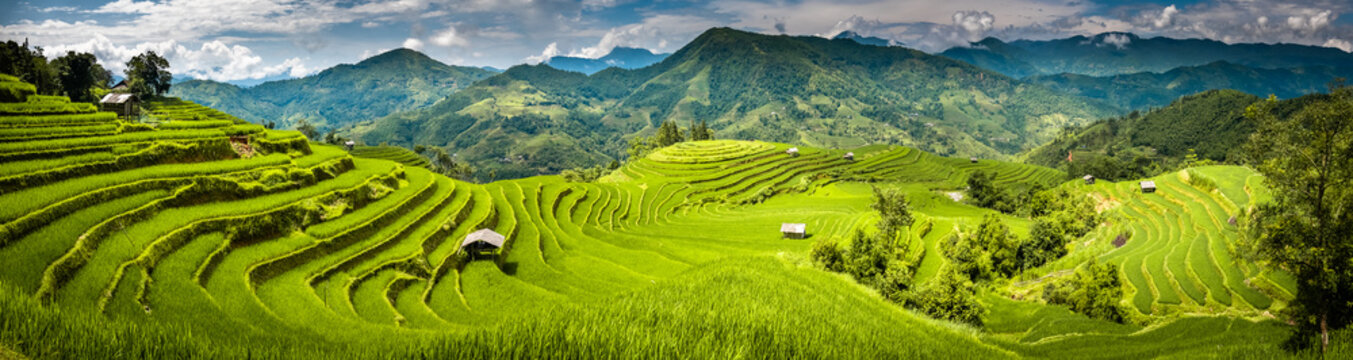 Landscape panorama of Vietnam, terraced rice fields of Hoang Su Phi district, Ha Giang province. Spectacular rice fields. Stitched panorama shot.