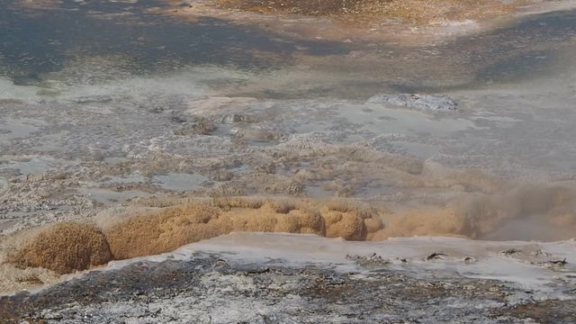 Fountain Flat Drive is the access point for many different activities. At the front of the drive is the Nez Perce Picnic area, situated at the confluence of the Firehole River and Nez Perce Creek.