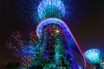 Gardens By The Bay Light Show